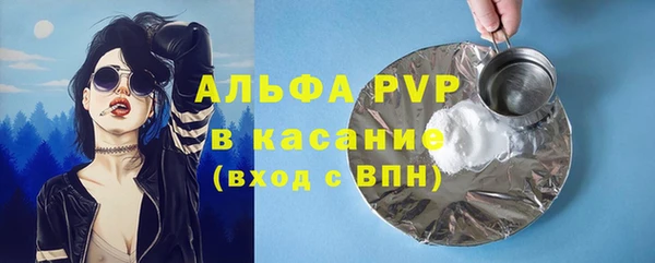 индика Алзамай